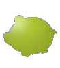 Produkt_1